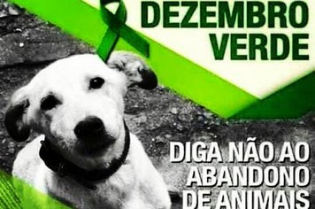 DEZEMBRO VERDE