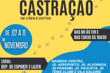 Prefeitura abrirá inscrições para a Etapa 6 de castração de cães e gatos.