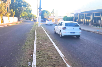 Av. Siqueira Campos: Prefeitura intensifica cuidados com espaços públicos