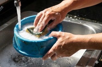 Prevenção nos quintais é a chave