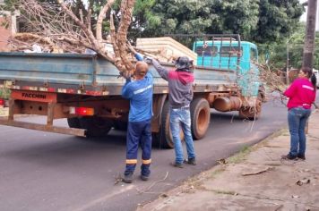 Prefeitura intensifica ações visando prevenir o aparecimento de escorpiões em Paraguaçu Paulista