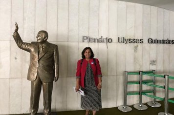 Prefeita apresenta demandas de Paraguaçu a deputados e senadores, em Brasília