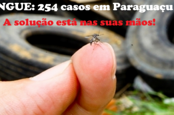 DENGUE: Paraguaçu já tem mais de 250 casos confirmados