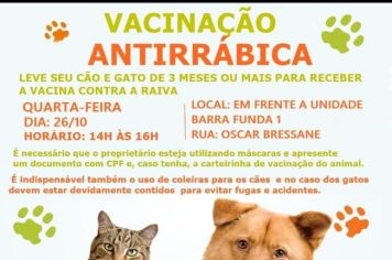 Vacinação antirrábica