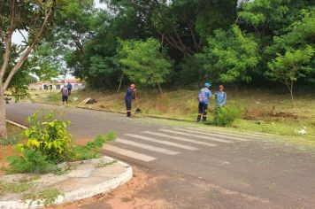 Prefeitura segue com limpeza e poda em áreas públicas no Jardim das Oliveiras