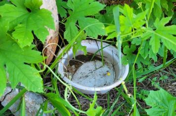 Saúde mantém ações contra o mosquito transmissor da Dengue.