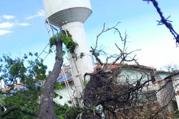 Temporal derruba árvore gigante sobre caixa d’água que abastece a Casa Lar e o Lar dos Idosos