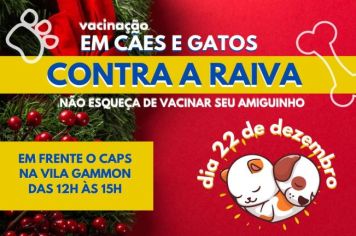 Essa semana tem vacinação conta raiva em Paraguaçu