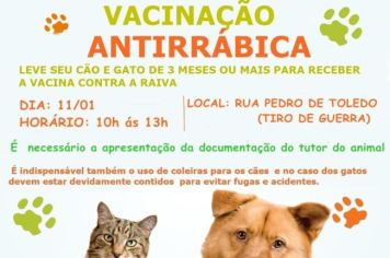 Vacinação antirrábica 