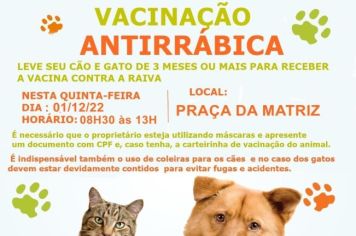 Vacinação antirrábica