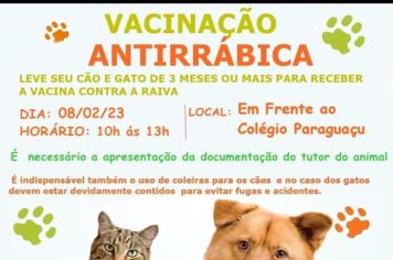 Vacinação anirrábica