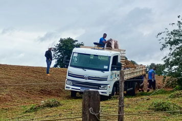 Prefeitura realiza poda e limpeza geral nas imediações da rodovia, no Jardim Murilo Macedo