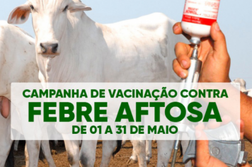 Vacinação contra Febre Aftosa é realizada até 31 de maio