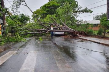 Paraguaçu decreta situação de emergência após vendaval
