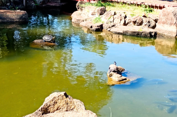 Prefeitura realiza limpeza no Jardim das Cerejeiras e reforça manutenção em espaços públicos