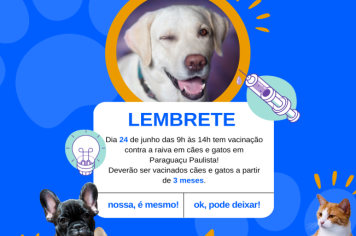 Dia 24 de junho tem vacinação contra a raiva em cães e gatos em Paraguaçu Paulista