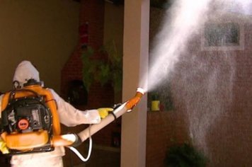 DENGUE EM NÚMEROS: Paraguaçu tem 1.200 notificações e 880 casos positivos de dengue