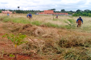 Mutirão de limpeza está sendo realizado no espaço público do Conjunto Lina Leuzzi