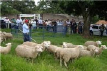 Com participação de Paraguaçu, Dia de Campo da Ovinocultura na Unimar, reúne criadores de todo Estado