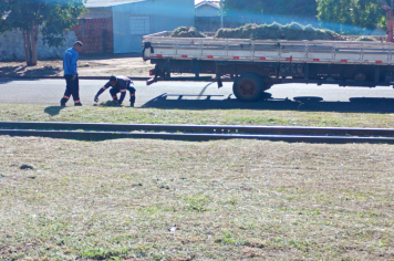 Descaso e sujeira: Prefeitura limpa linha férrea novamente tomada por lixo irregular