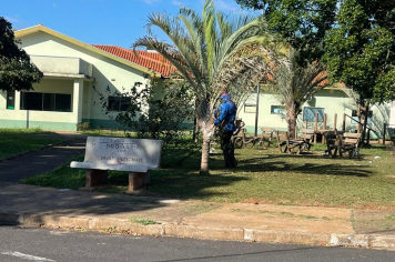 Cuidado com a saúde começa pelo ambiente: Prefeitura mantém limpeza e roçagem em torno da UBS Vila Popular