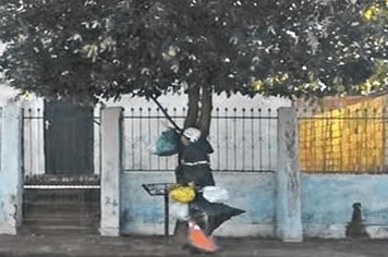 Lei da Câmara de Paraguaçu começa a surtir efeito