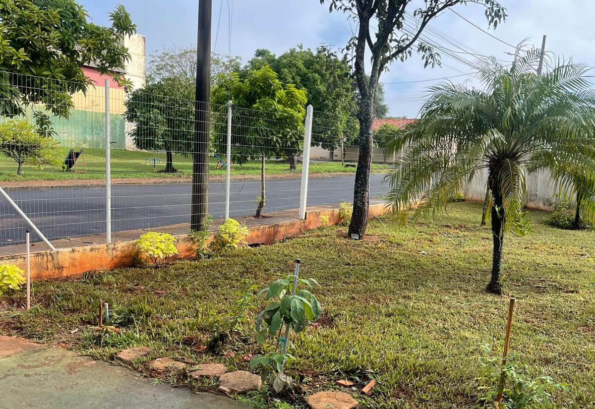 Cuidado com a cidade: Prefeitura inicia semana com diversas frentes de limpeza