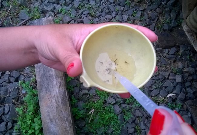 O inverno começa neste dia 20, mas a dengue ainda faz vítimas em Paraguaçu