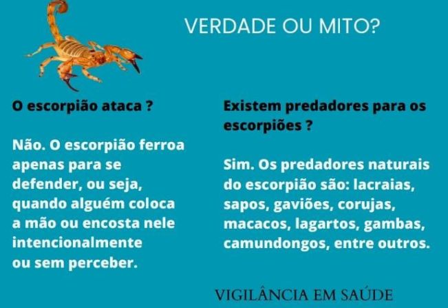 Paraguaçu Paulista participa da Semana Estadual de Enfrentamento ao Escorpião
