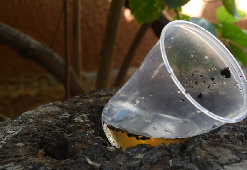 Ação contra a dengue 