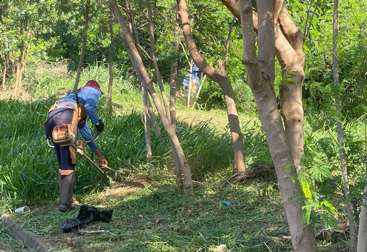 Mutirão de limpeza no Jardim América reforça combate à insetos transmissores de doenças e preserva qualidade urbana