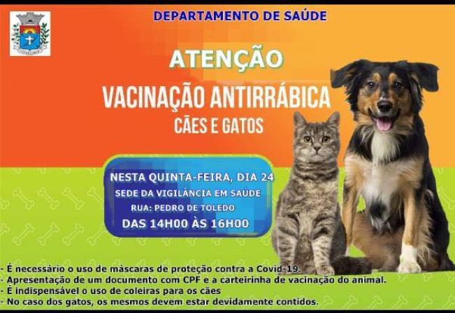 Saúde promove vacinação antirrábica