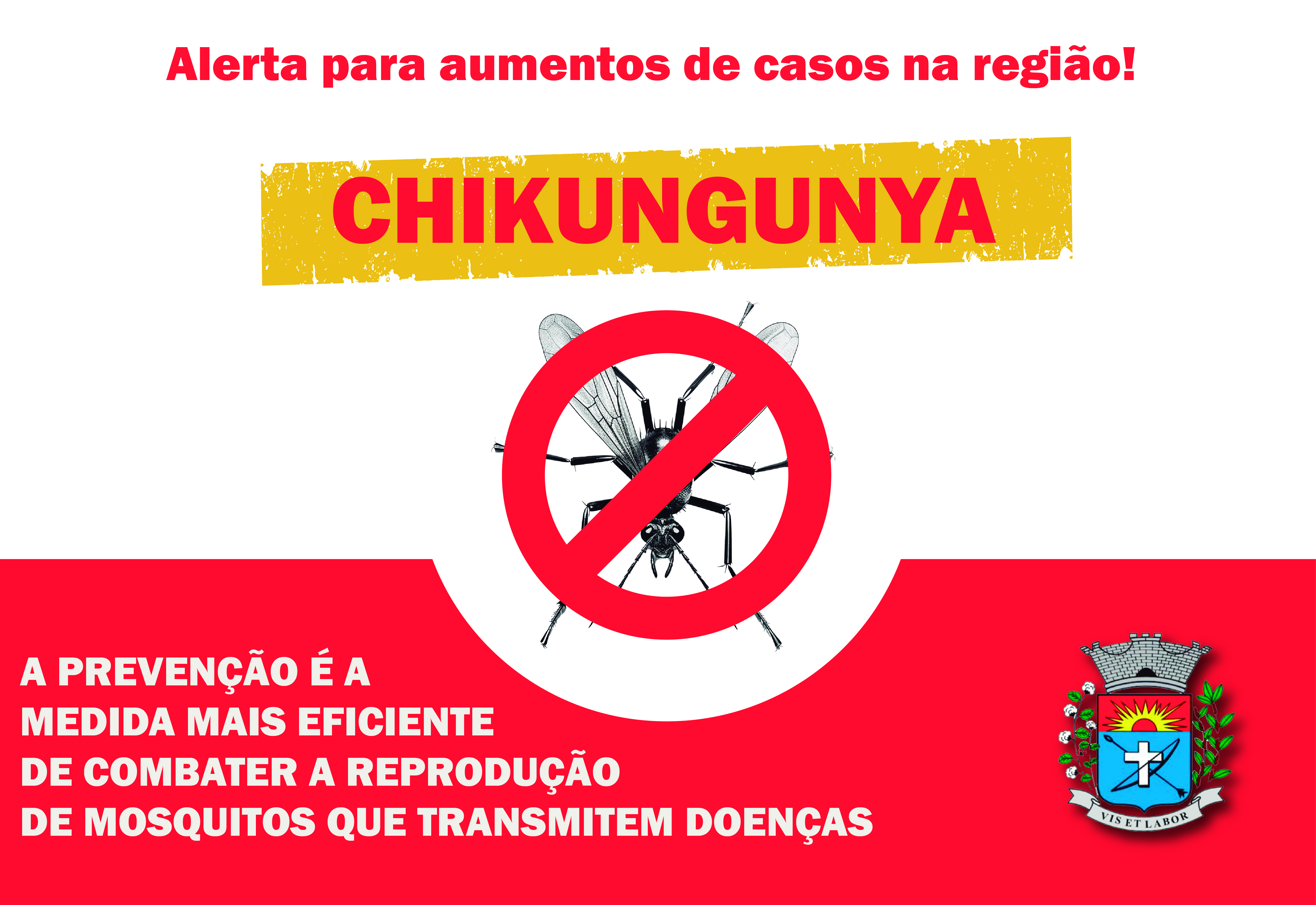 Chikungunya: Alerta para aumento de casos na região