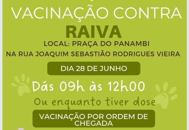 Paraguaçu realiza vacinação contra raiva para cães e gatos 