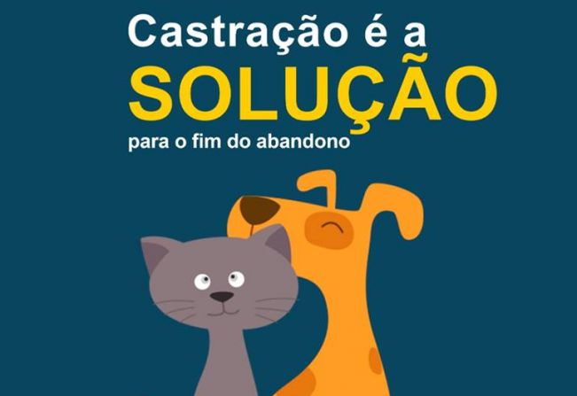 Cadastramento de cães e gatos para castração continua na Barra Funda até sexta-feira, 28