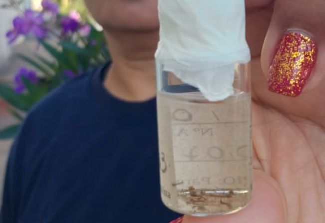 Paraguaçu realiza pesquisa de Índice de Infestação do Mosquito transmissor da Dengue