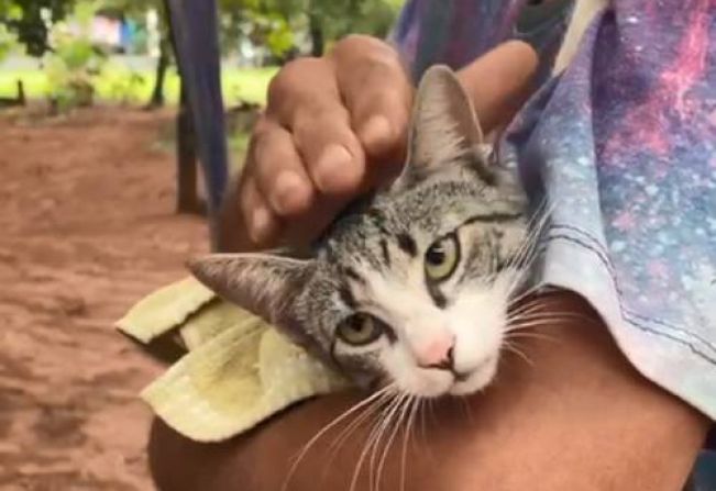 Rancho Alegre recebe equipe atendimentos da equipe de saúde no Programa Saúde em Ação