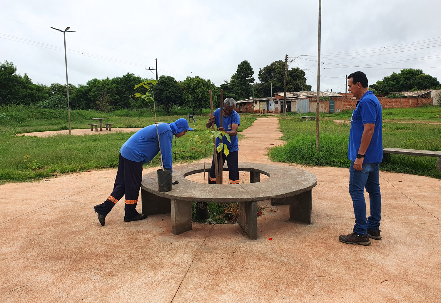 Prefeitura realiza plantio de 150 mudas de árvores em vários pontos da cidade