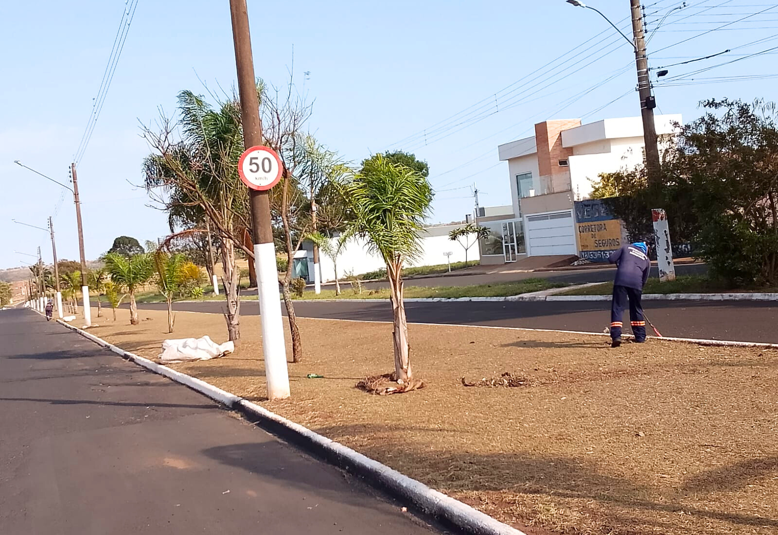 Prefeitura intensifica limpeza na entrada de Paraguaçu Paulista pela Av. Hissagy Marubayashi