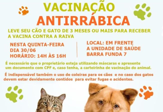 Vacinação antirrábica