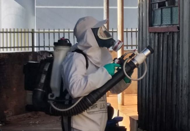 CUIDADO!  Mosquito da dengue também ataca no outono