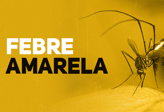 Governo de SP convoca população não vacinada para se imunizar contra a febre amarela