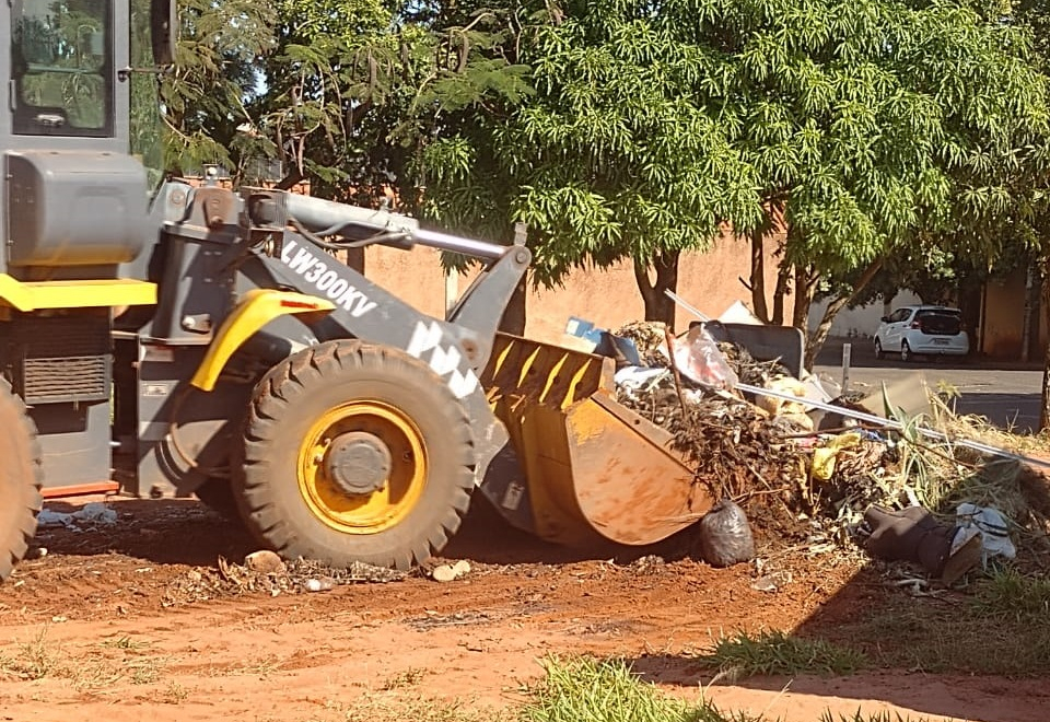 Crime ambiental em área de reflorestamento alerta moradores da Fercon e mobiliza Prefeitura