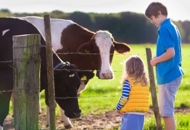 Curso de Turismo Rural pretende fortalecer setor