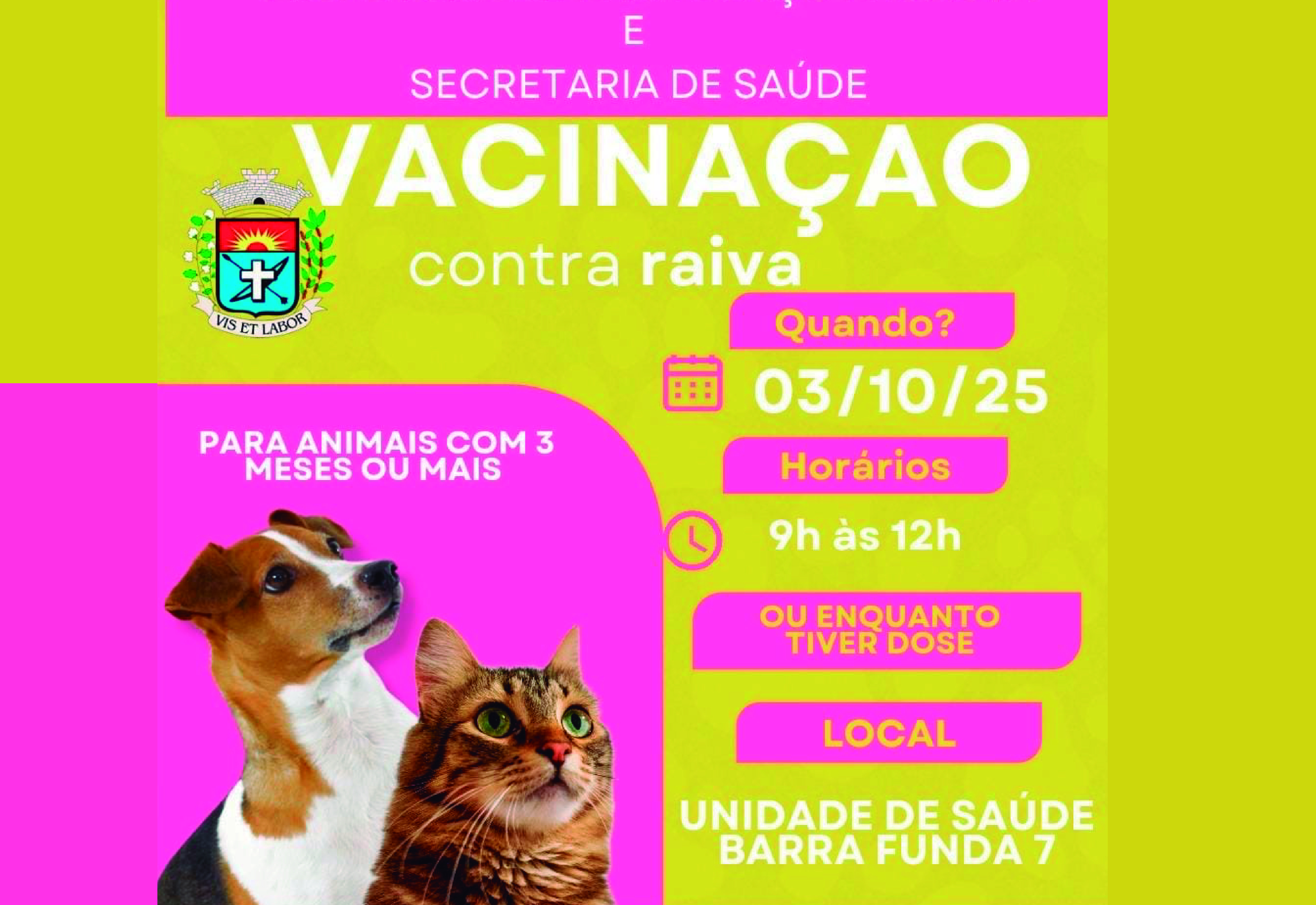 Vacinação contra a raiva acontece nesta sexta-feira em Paraguaçu