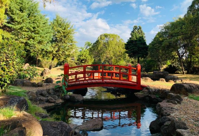 Jardim das Cerejeiras reabrirá amanhã para o público