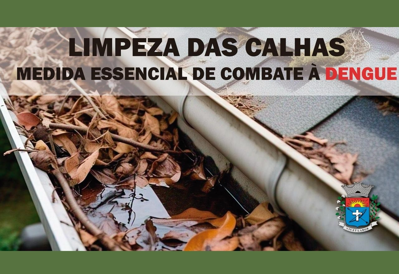 Limpeza correta de calhas pode ajudar na prevenção à Dengue