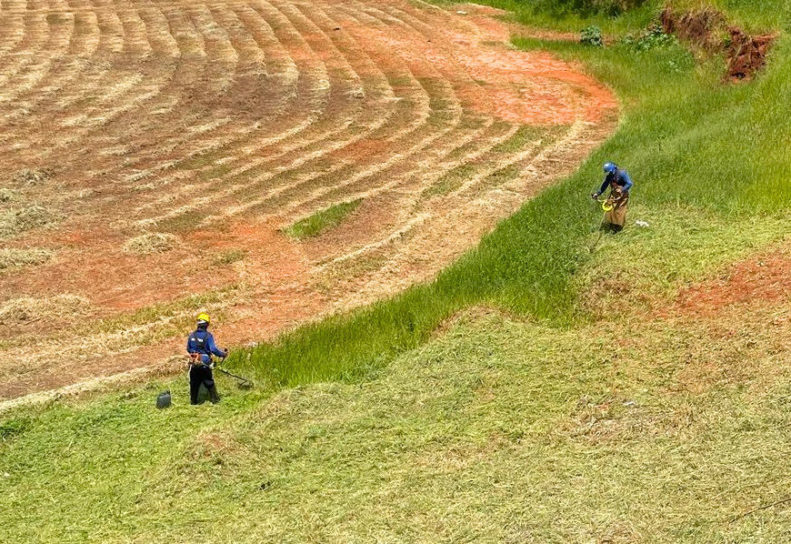 Prefeitura faz limpeza, poda e roçagem no 'Buracão', na Barra Funda