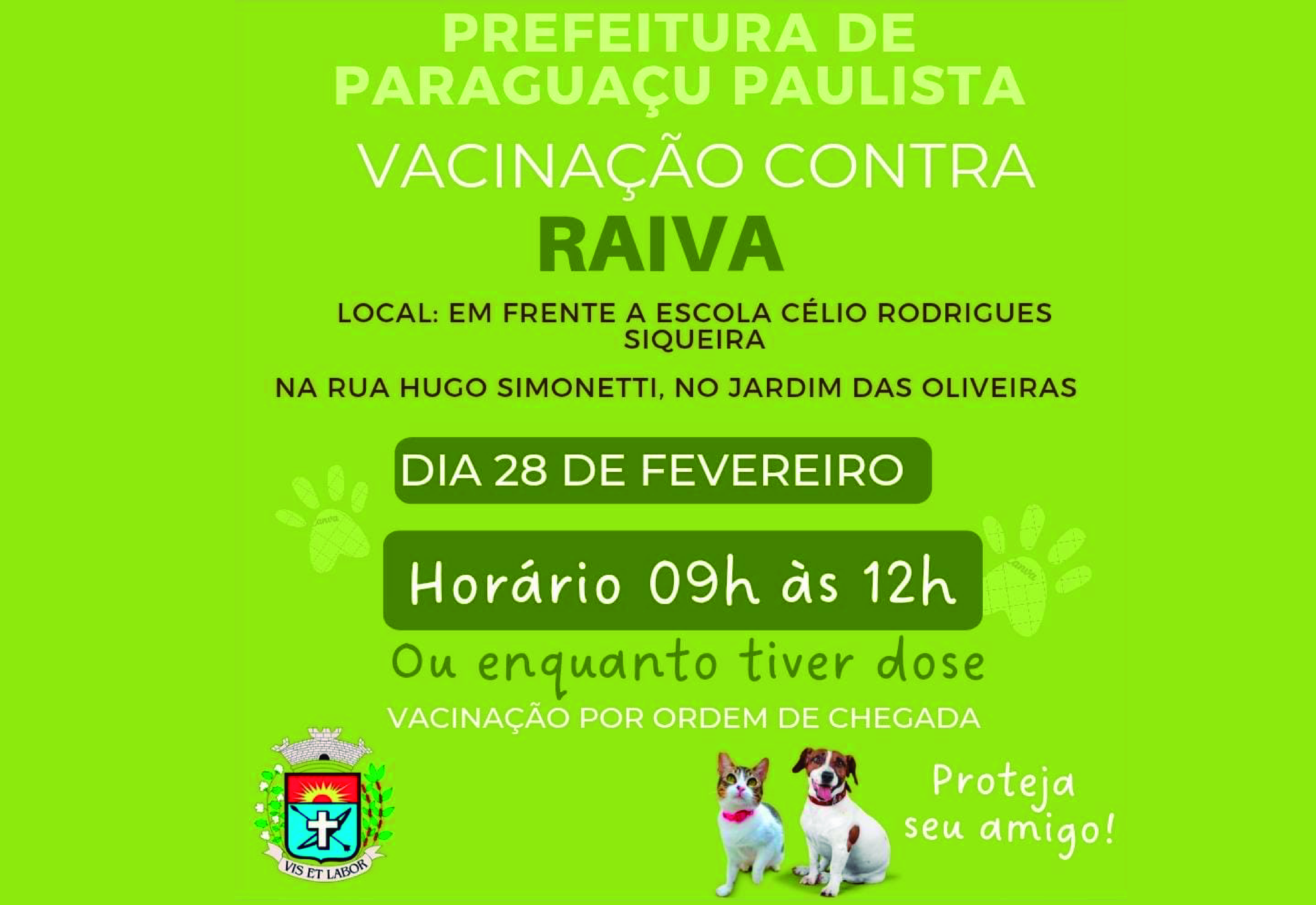 Paraguaçu realiza vacinação contra raiva para cães e gatos