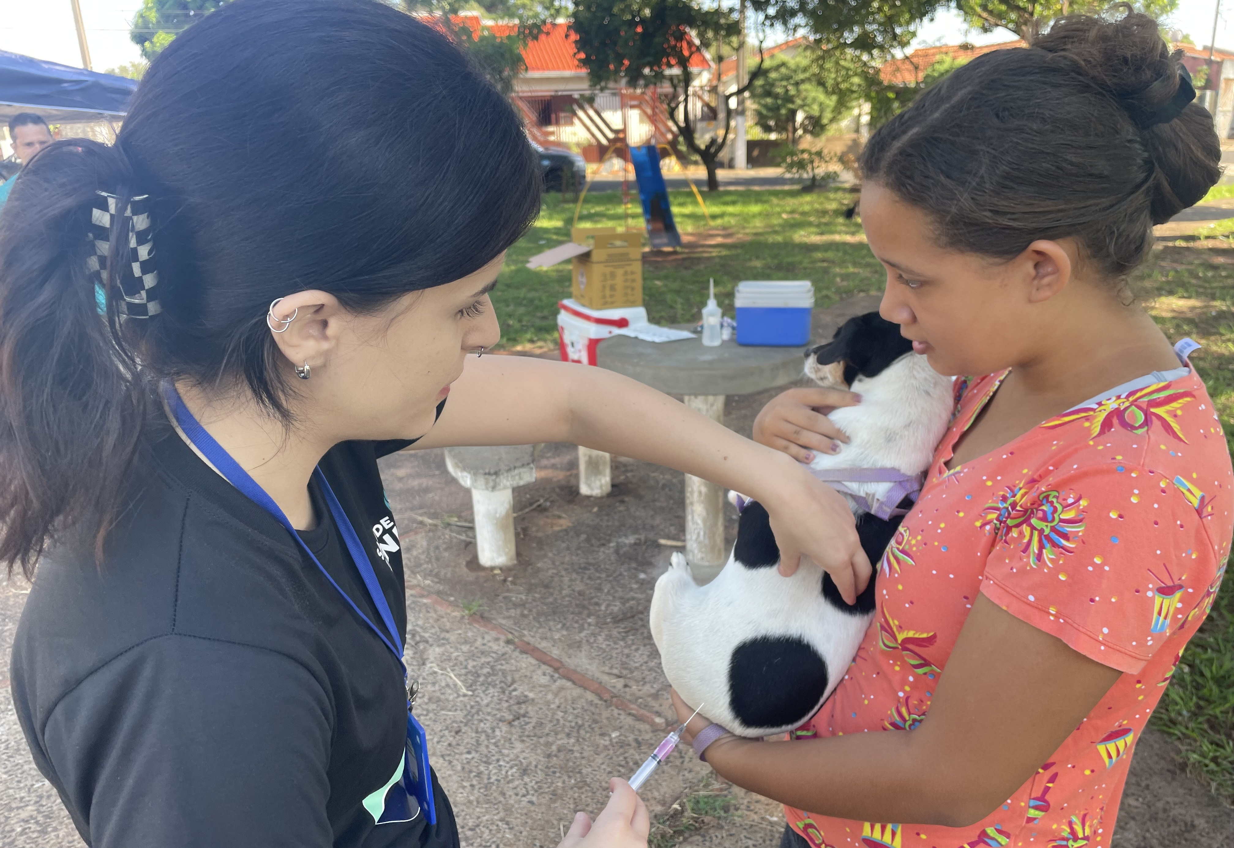 Vacinação Gratuita Contra a Raiva para Cães e Gatos